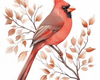 Cardenal de acuarela PNG, clipart de pájaro del bosque, clipart de acuarela imprimible, manualidades de papel, diario basura, descarga digital