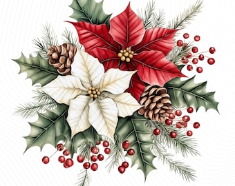 Clipart déco poinsettia, poinsettia de Noël aquarelle, art de la carte de Noël, journal indésirable, créations en papier, téléchargement numérique