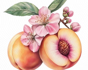 Watercolor Peaches Clipart, Fruit with Flowers, Printable Watercolor Clipart, Junk Journal, Paper Craft, Digital Download