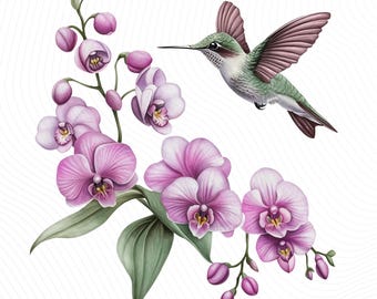 Aquarell Kolibri Clipart, Floral Vogel Clipart, druckbare Aquarell Clipart, Papierwesen, Junk Journals, digitaler Download