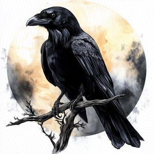 May include: A detailed illustration of a black raven perched on a tree branch. The raven is set against a backdrop of a full moon with a cloudy, watercolor-like effect. The artwork features intricate feather details and a realistic depiction of the bird.