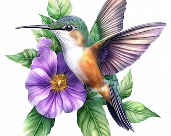 Tropical Hummingbird Clipart, Floral Bird Clipart, Printable Watercolor Clipart, Paper Craft, Digital Download