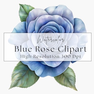 Watercolor Rose Clipart, Floral Clipart Bundle, Wedding Flowers Graphics, Wedding Clipart, Digital Download, Roses bouquet, High Quality PNG