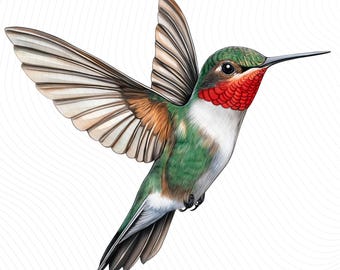 Hummingbird Clipart, Watercolor Bird Clipart, Printable Watercolor Clipart, Paper Craft, Junk Journals, Digital Download