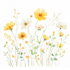 Watercolor Yellow Wildflowers Clipart, Meadow Flower Borders, Printable Clipart for Crafts, Junk Journal, Digital Download