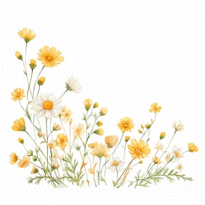 May include: Watercolor illustration of yellow and white wildflowers with green stems and leaves. The flowers are in various stages of bloom, with some buds still closed. The background is white with subtle, wavy lines.