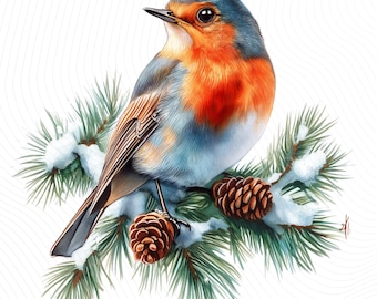 Christmas Robin Clipart, Christmas Birds Clipart, Christmas Watercolor Clipart, Paper Craft, Junk Journal, Digital Download
