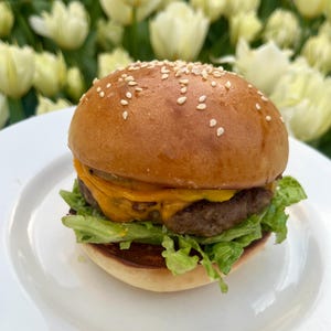 Homemade Hamburger Buns Recipe | Bakers Special Sesame Seed Buns