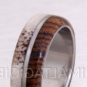 Titanium Antler Ring: Bocote Wood Deer Antler Band