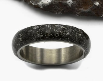 Gibeon Meteorite Ring: Titanium Wedding Band, Space Rock Jewelry