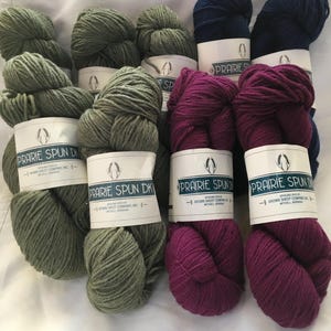 Brown Sheep, Prairie Spun DK, 100% wool : Coneflower Purple, Denim Jeans, Dancing Leaf