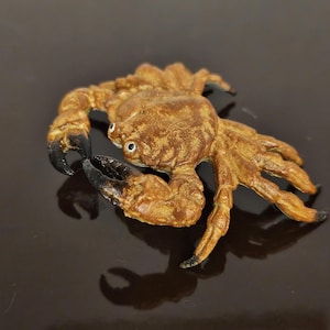 Crab - Original Bergmann Vienna Bronze