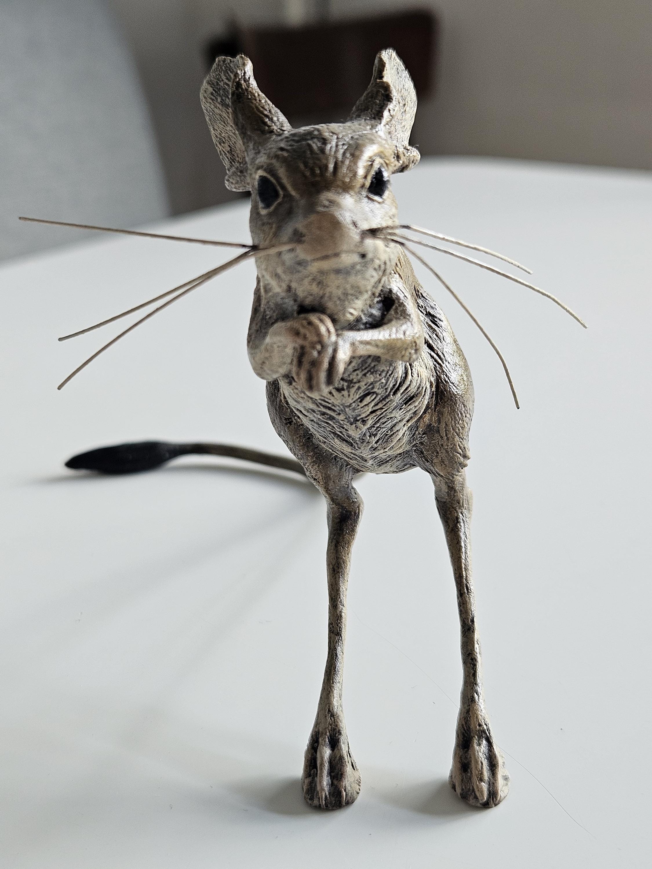  ♡ Jerboa il_fullxfull.6828975241_snml.jpg