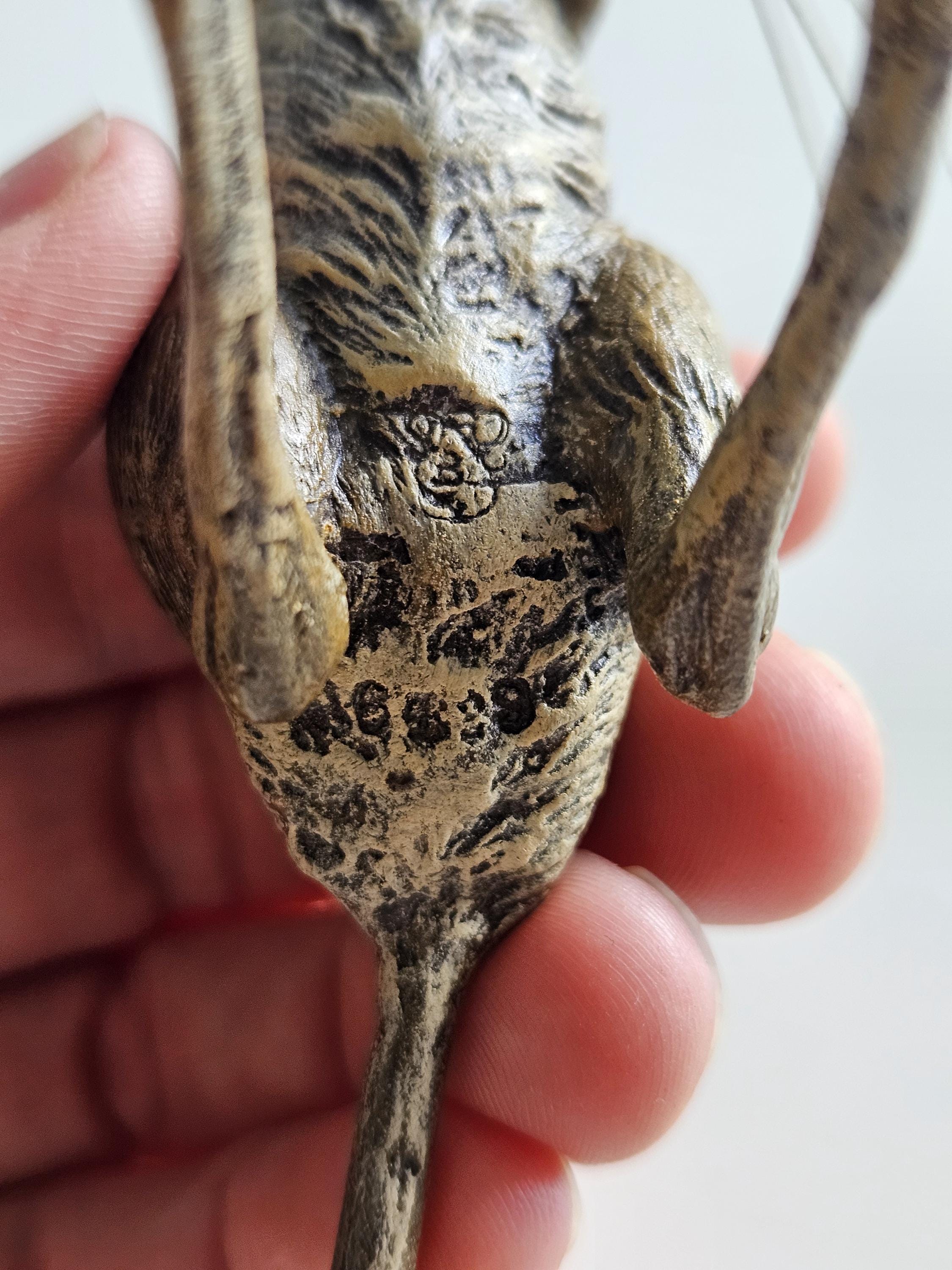 Jerboa - Hopping Desert Rodent - Etsy