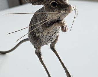 Jerboa - Hopping Desert Rodent - Etsy