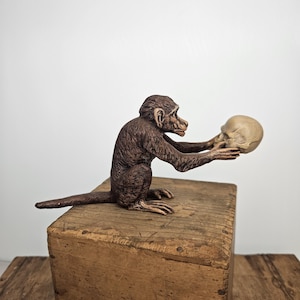 Monkey with Skull - Original Bergmann Vienna Bronze