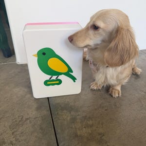 May include: A white rectangular block with a green and yellow bird illustration. The block has a pink top and is next to a light brown long-haired dachshund dog.