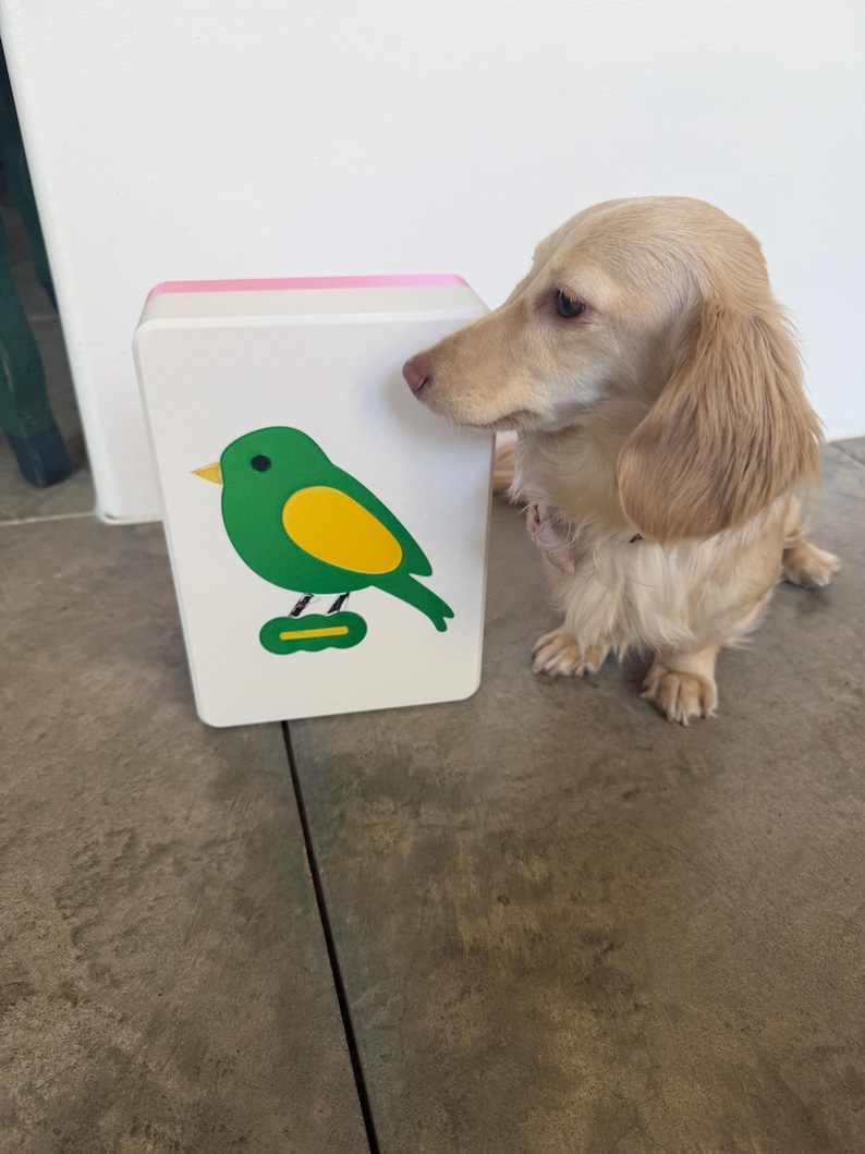 May include: A white rectangular block with a green and yellow bird illustration. The block has a pink top and is next to a light brown long-haired dachshund dog.