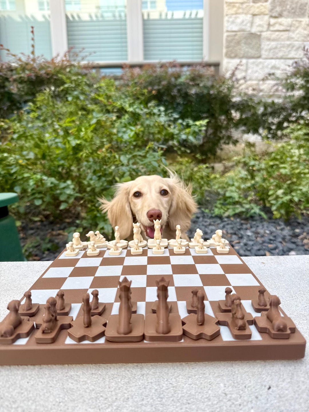 Dachshund Chess Set: 3D Printed Wiener Dog Design - Gift for Dog