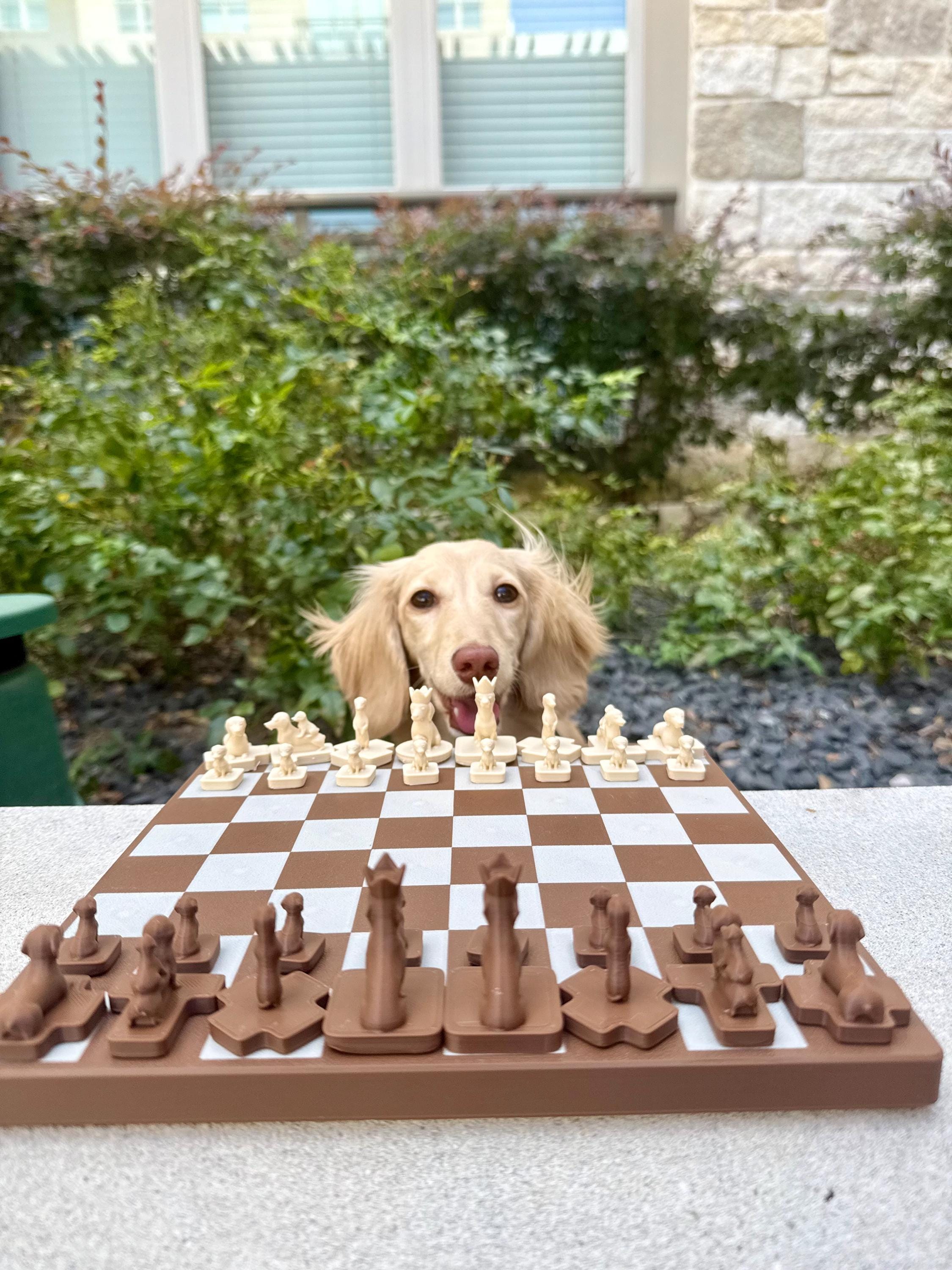 Dachshund Chess Set: 3D Printed Wiener Dog Design - Gift for Dog