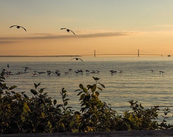 Mackinac Bridge Art Print Pastel Michigan Wall Art Gift for Men Gift for Women Vacation Home Wall Art Air Bnb Wall Art Bed and Breakfast Art