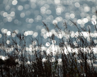Mackinac Island Beach Grass Print: Coastal Nautical Wall Art