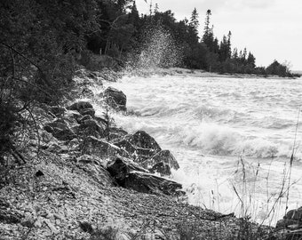 Puede incluir: Una fotografía en blanco y negro de una costa rocosa con olas rompiendo contra las rocas. El agua está agitada y hay árboles en el fondo.