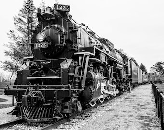 May include: A black and white photograph of a vintage steam locomotive with the number 1223 on the side. The locomotive is on a set of train tracks and is facing the camera. The locomotive is in a field with trees in the background.