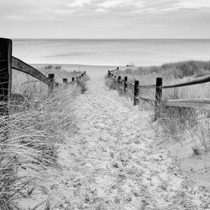 Black and White Beach Path Art Print: Lake Superior, Michigan