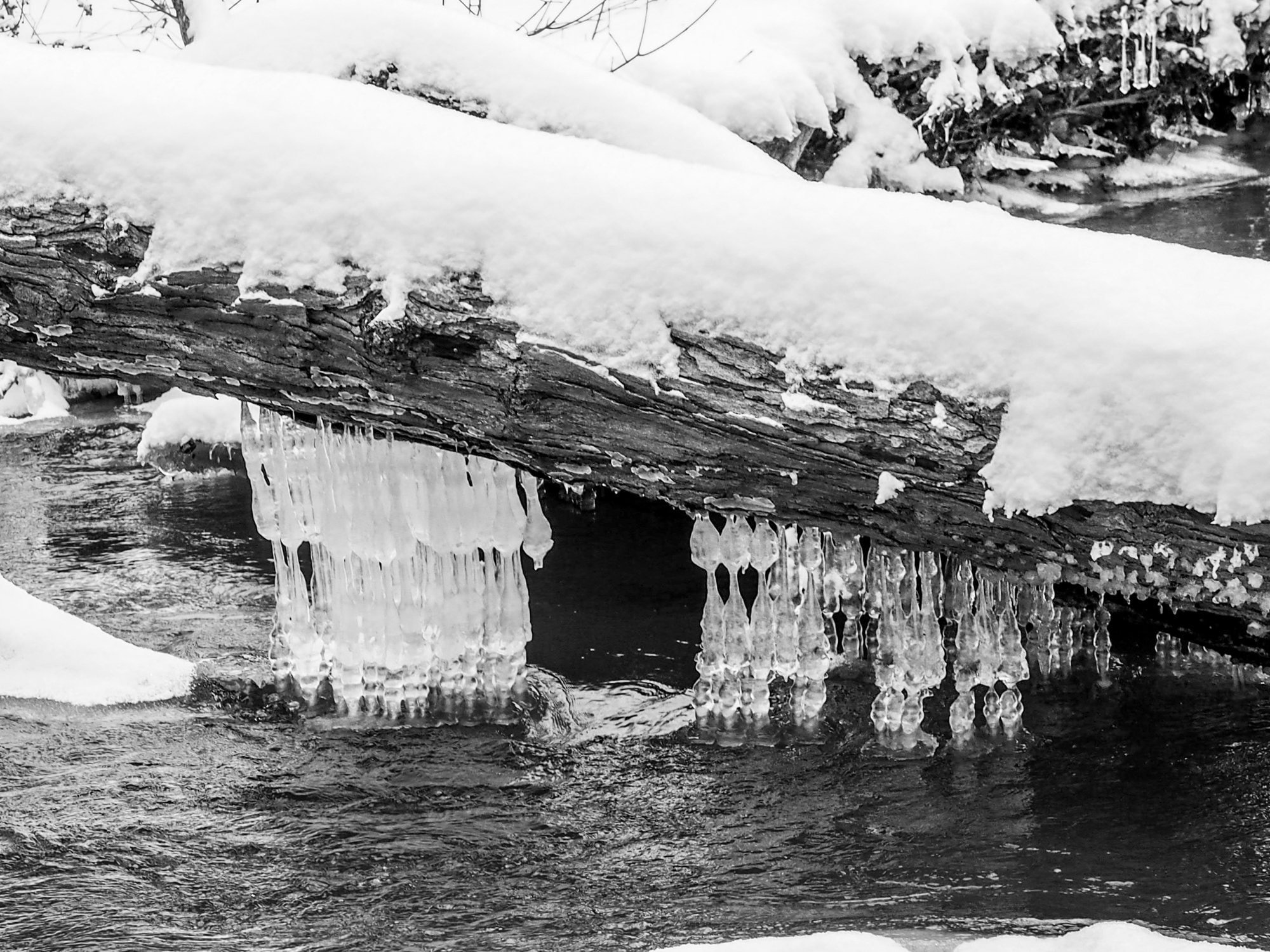 Winter Photography Winter Photo Prints Winterscape Print Snow Photos