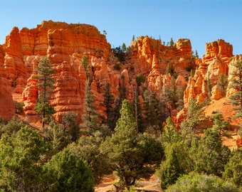 Clay Colored Red Print, Rock Formation Photographic Print, Bryce Canyon, Landscape, Living Room Wall Art, Art Print, Utah, Gift for Him