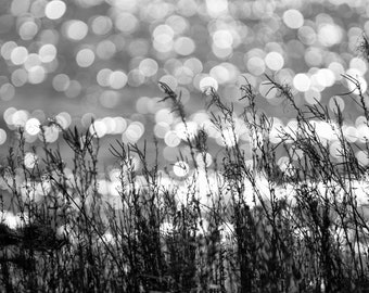 Mackinac Island Photography Art Prints Mackinac Island Nautical Photography Black and White Beach Photo Birthday Gifts for Him Gift for Her