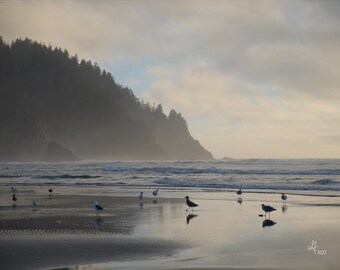 Mewy na plaży, Mglista sztuka ścienna nad wybrzeżem Oregonu, Zdjęcie: Czas lecieć