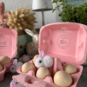 Eierschachtel Eierkarton Villa Hasienda rosa/ lime / pinacolada