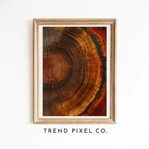 Abstract Tree Ring Wall Art Print, Rustic Modern Nature Decor, Nordic Style Minimalist Canvas for Living Room or Office