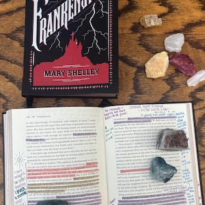 Frankenstein (Fully Annotated) – Handwritten Notes + Tabs