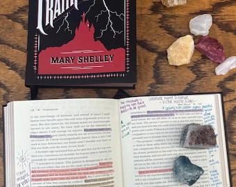 Frankenstein (Fully Annotated) – Handwritten Notes + Tabs