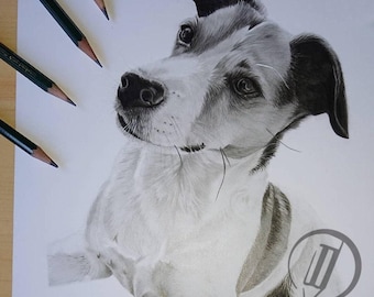 Custom Pet Portrait Hand Drawn Pencil drawing Dog Cat Animal Art Digital arts