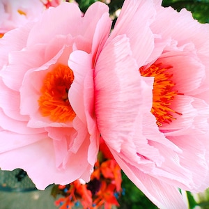 Crepe Paper Coral Charm Peony: Realistic Faux Floral Arrangement