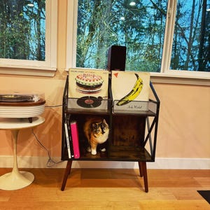 Wooden Vinyl Record Display Table for Albums Books | Vinyl Record Storage | Record Holder | Vinyl Record Display | Media Storage
