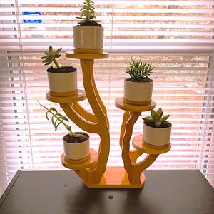 5 Tier Bamboo Mini Plant Stand for Desk Tabletop | Unique Plant Stand | Display Stand | Flower Stand | Plant Shelf | Plant Accessories