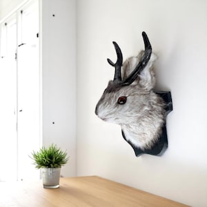 Puede incluir: Un soporte de pared de taxidermia falsa con una cabeza de conejo con cuernos negros y una placa de montaje negra. El conejo tiene pelaje gris y blanco con ojos marrones. El soporte se exhibe en una pared blanca.