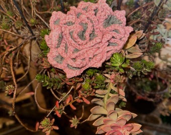 Crocheted Succulent Coaster Set: Pink Vera with Muted Green