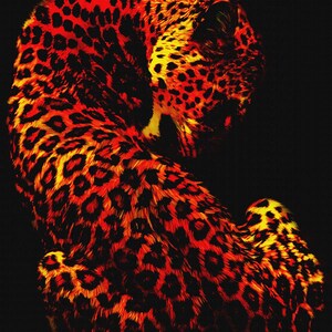 Jag