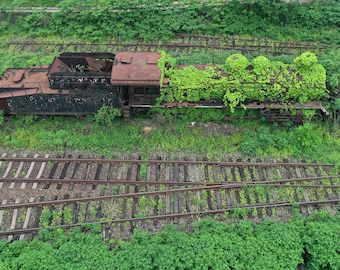 Nature Reclaiming SY Class Steam Engine, Abandoned Railway Print, Industrial Decay Art, Overgrown Locomotive Wall Art, Railfan Gift