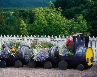 Scottish Highlands Railway Train Planter Photo, Aviemore Scotland Vintage Barrel Art Print, Whimsical Cottagecore Garden Wall Decor