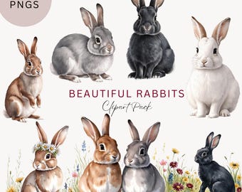 Bunny clipart, Beautiful Rabbit Clipart, Digital Download, Bunnies, Junk journals, Commercial Use PNGs