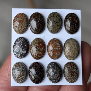 Op de afbeelding: Twaalf ovale edelstenen in verschillende kleuren, waaronder bruin, grijs en rood, zijn gerangschikt op een witte kaart. De edelstenen hebben unieke patronen en texturen, die natuurlijke variaties laten zien. Geschikt voor het maken van sieraden of verzamelen.