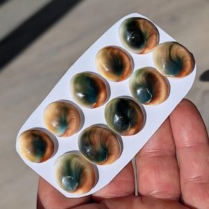 Pode incluir: Uma coleção de dez pedras preciosas ovais polidas. Cada pedra apresenta um padrão de redemoinho de cores castanho, creme e verde-azulado. As pedras preciosas estão dispostas em um cartão branco, segurado por uma mão, e são ideais para fazer joias ou colecionar.