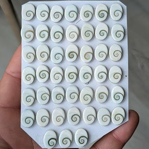 Pode incluir: Uma coleção de contas de concha ovais e brancas com um desenho em espiral em tons de castanho e bege. As contas estão dispostas em filas num cartão branco, segurado por uma mão. As conchas têm uma superfície lisa.